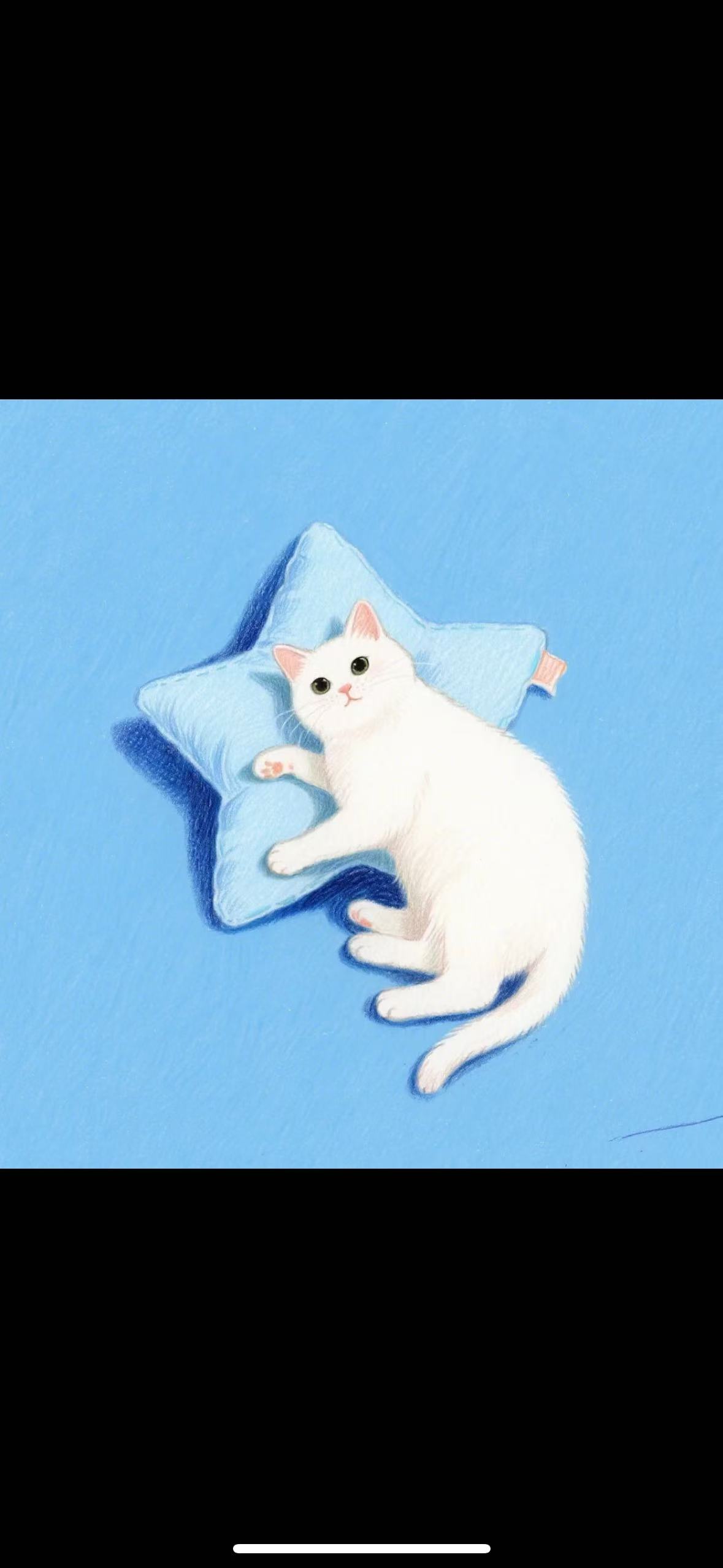 🐱